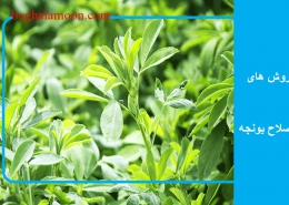 روش های اصلاح یونجه
