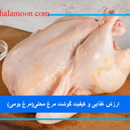 ارزش غذایی و کیفیت گوشت مرغ محلی(مرغ بومی)