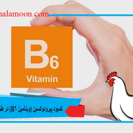 بررسی کمبود پیرودوکسین (ویتامین B6) در تغذیه طیور