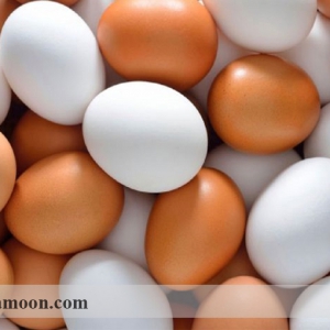معیارهای ارزیابی کیفیت پوسته تخم مرغ