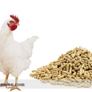 جیره غذایی و تأثیر آن بر بیماریهای عفونی در پرورش مرغ ارگانیک