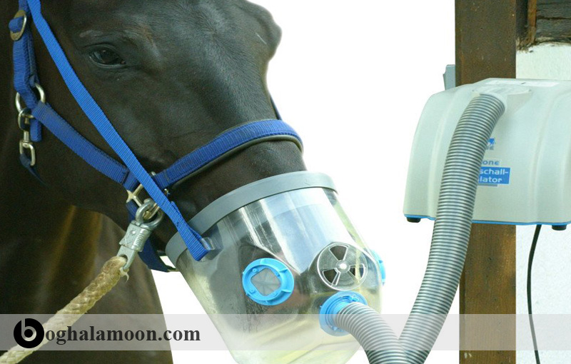 مشکلات دستگاه تنفسی در اسب