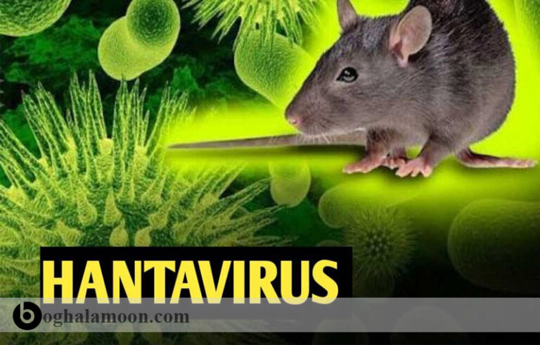 بیماری های ویروسی قابل انتقال از حیوان به انسان:هانتا ويروس
