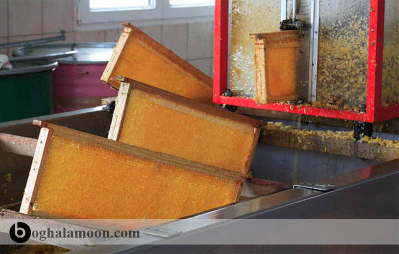 مراحل استخراج عسل و تأمین رطوبت مناسب در عسل
