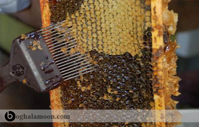 وسایل و لوازم پرورش زنبور عسل:کاردک،برس زنبور و دستگاه مولد باد